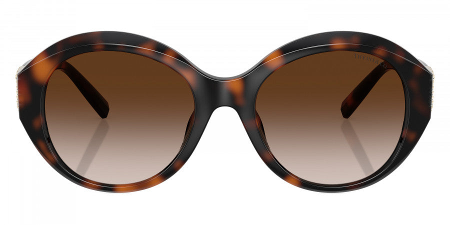 TIFFANY SUNGLASSES - TF4227BU 80153B 53 - Havana
