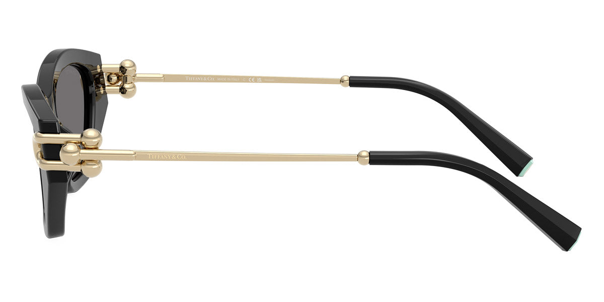 TIFFANY SUNGLASSES - TF4231U 800181 53 - Black/Pale Gold
