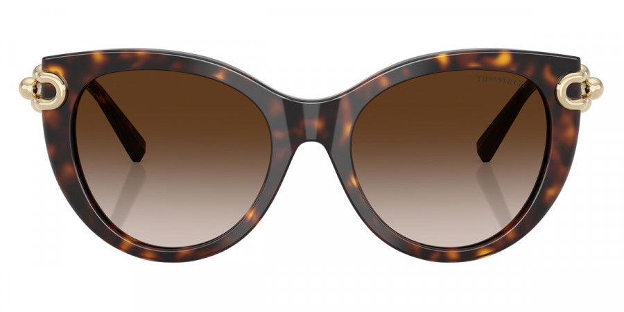 TIFFANY SUNGLASSES - TF4232 80153B 53 - Havana/Pale Gold
