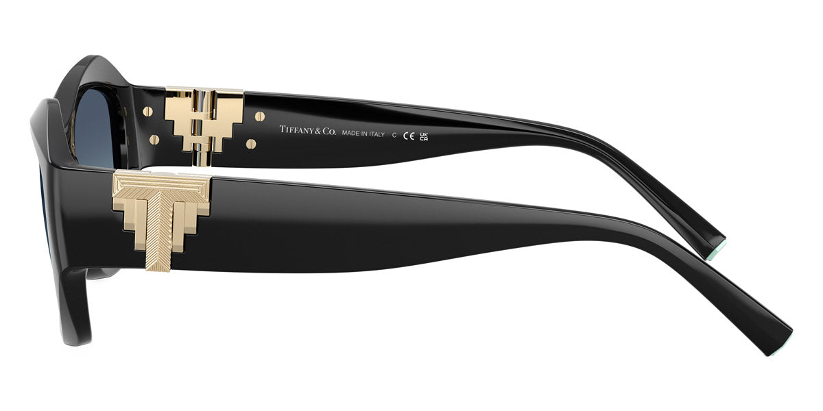 TIFFANY SUNGLASSES - TF4233U 80019S 54 - Black