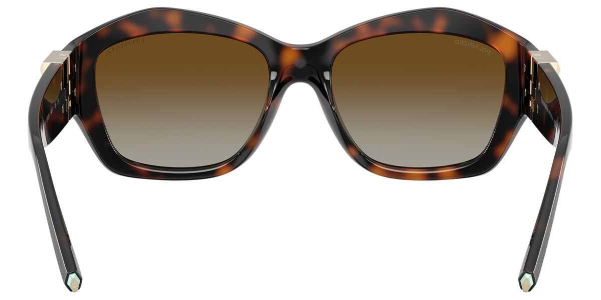 TIFFANY SUNGLASSES - TF4233U 8015T5 54 - Havana