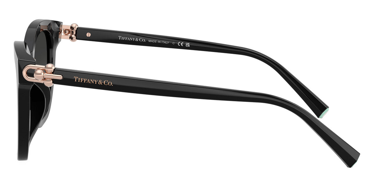 TIFFANY SUNGLASSES - TF4241D 80013C 54 - Black