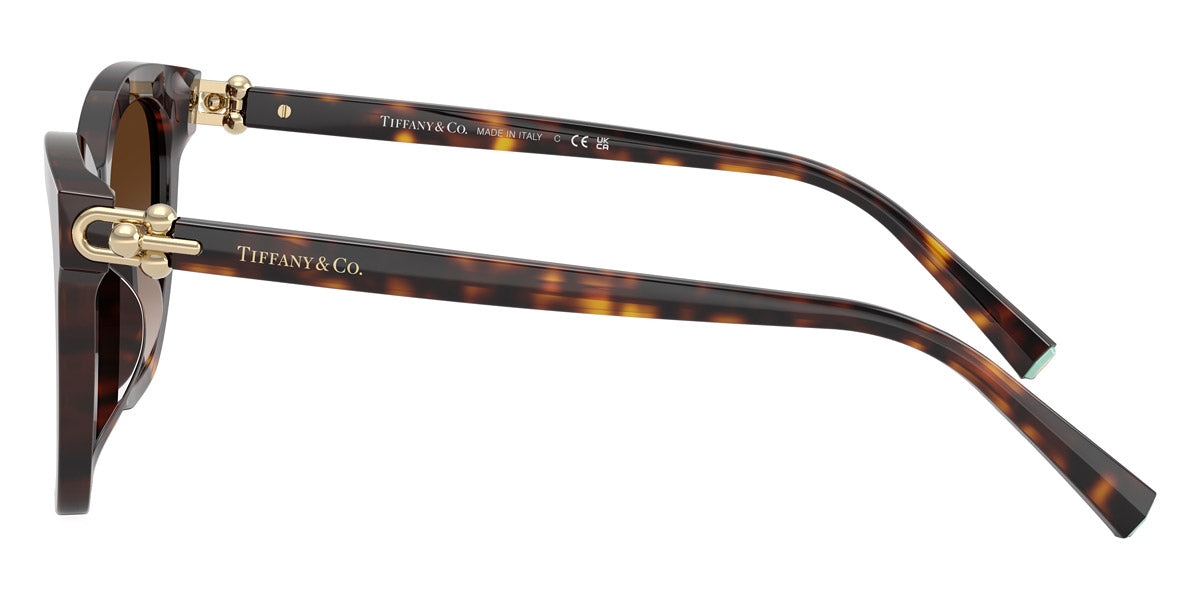 TIFFANY SUNGLASSES - TF4241D 80153B 54 - Havana