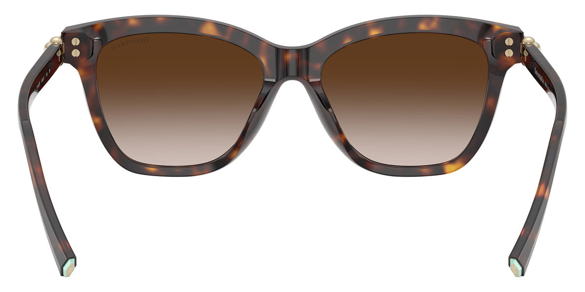 TIFFANY SUNGLASSES - TF4241D 80153B 54 - Havana