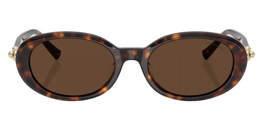TIFFANY SUNGLASSES - TF4242D 80153G 54 - Havana