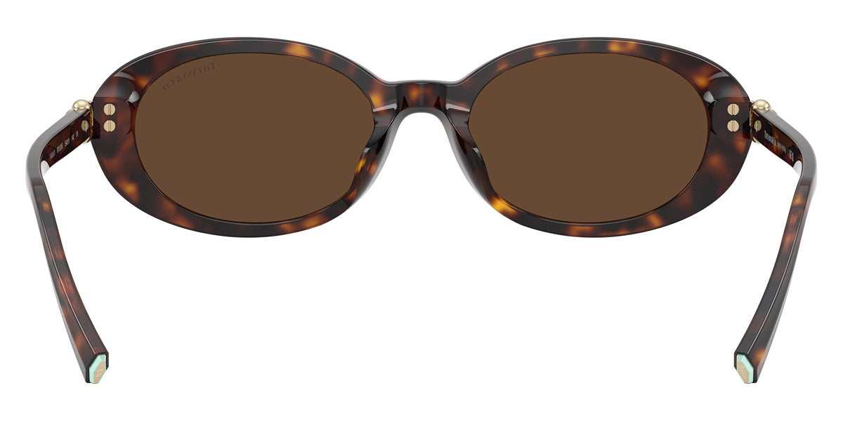 TIFFANY SUNGLASSES - TF4242D 80153G 54 - Havana