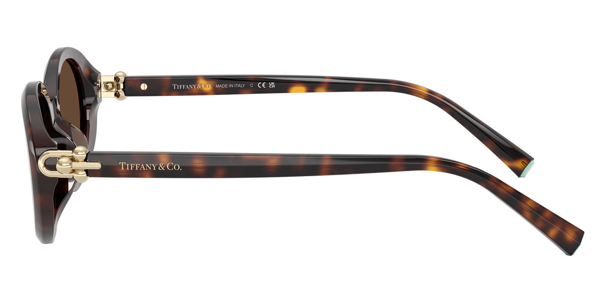 TIFFANY SUNGLASSES - TF4242D 80153G 54 - Havana