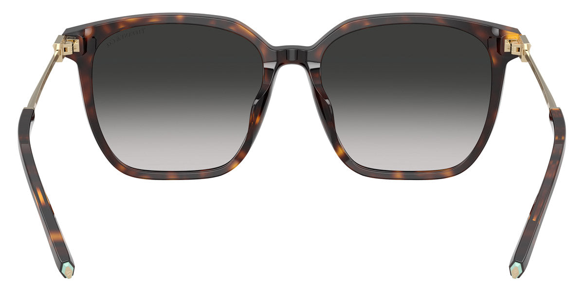 TIFFANY SUNGLASSES - TF4244D 80153C 56 - Havana/Pale Gold
