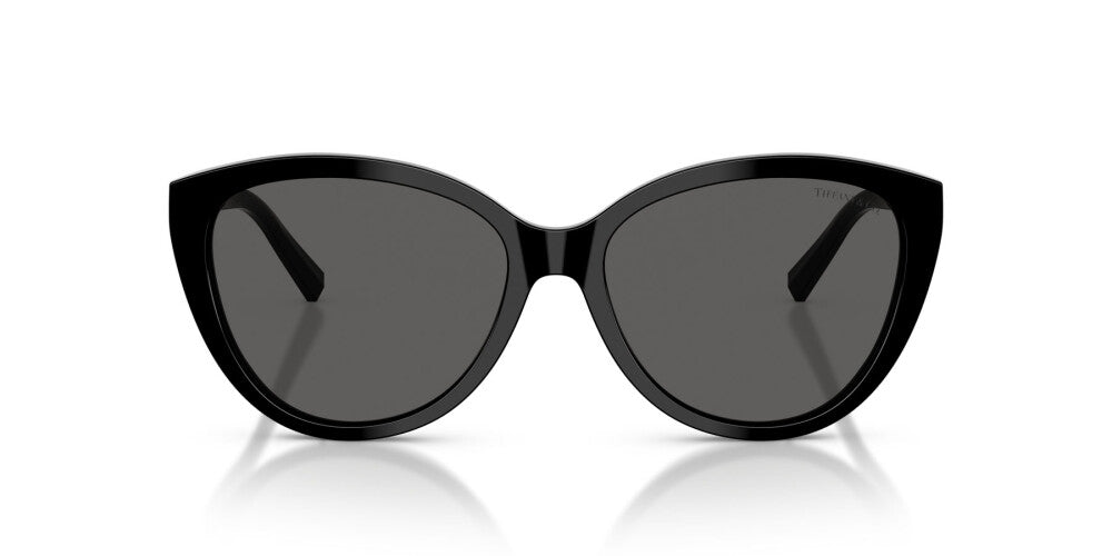 TIFFANY SUNGLASSES - TF4251 8001S4 56