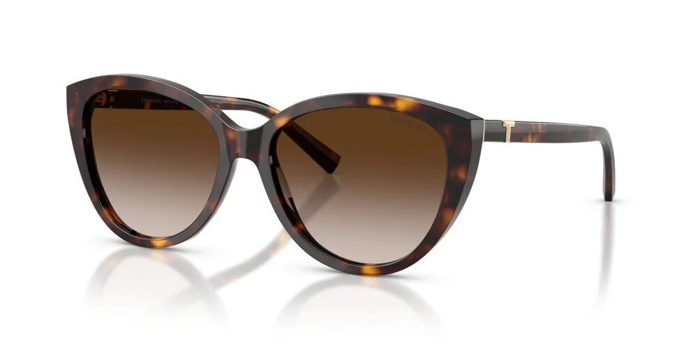 TINK☆TIFFA① TIFFANY SUNGLASSES - TF4251 80153B 56