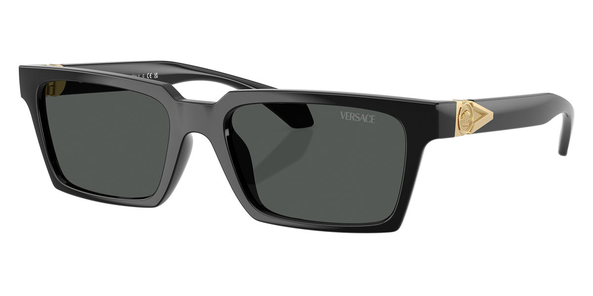 VERSACE SUNGLASSES AVANTI - VE4490U GB1/87 55 - Black