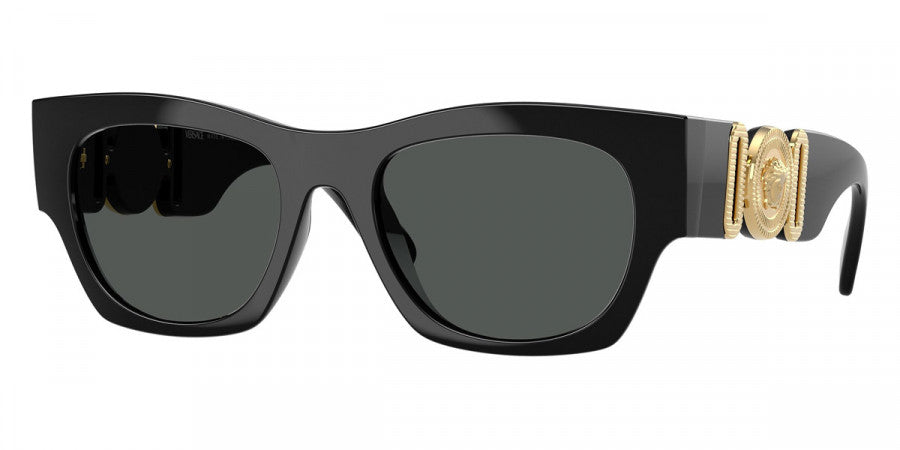 VERSACE SUNGLASSES MEDUSA - VE4479U GB1/87 52 - Black