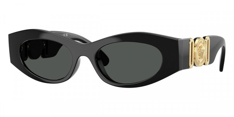 VERSACE SUNGLASSES MEDUSA - VE4480U GB1/87 51 - Black