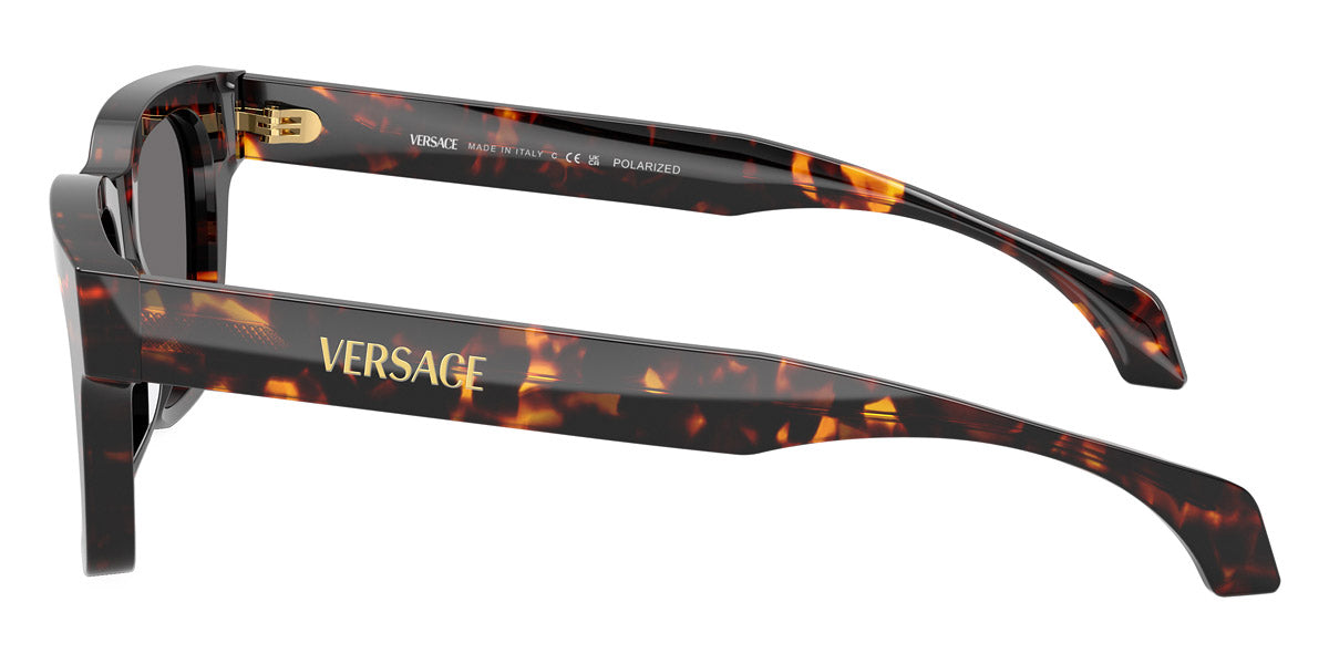 VERSACE SUNGLASSES SIGNATURE - VE4486 550981 52 - Havana
