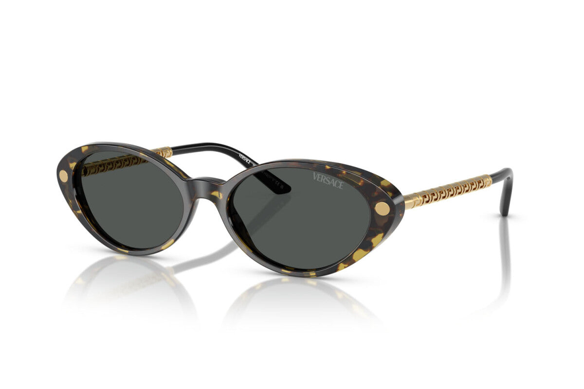 VERSACE SUNGLASSES TUBULAR GRECA OVAL - VE4469 547087 54