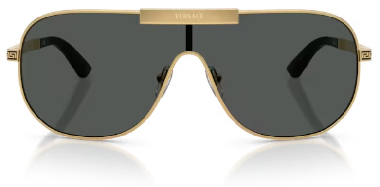 VERSACE SUNGLASSES - VE2293 100287 40