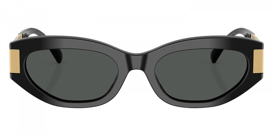 VERSACE SUNGLASSES - VE4501 GB1/87 54 - Black