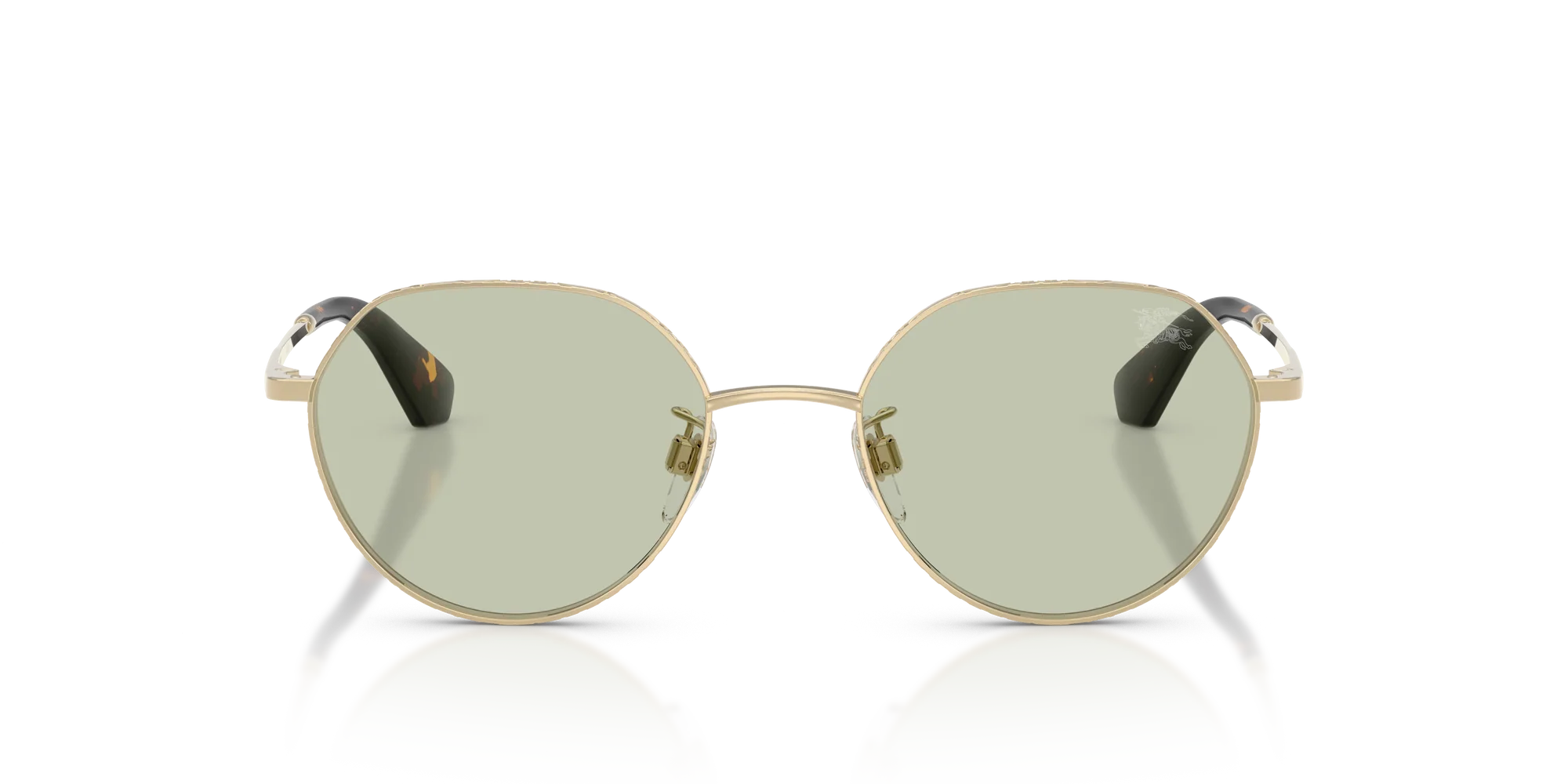 BURBERRY SUNGLASSES - BE3173D 1109/2 51
