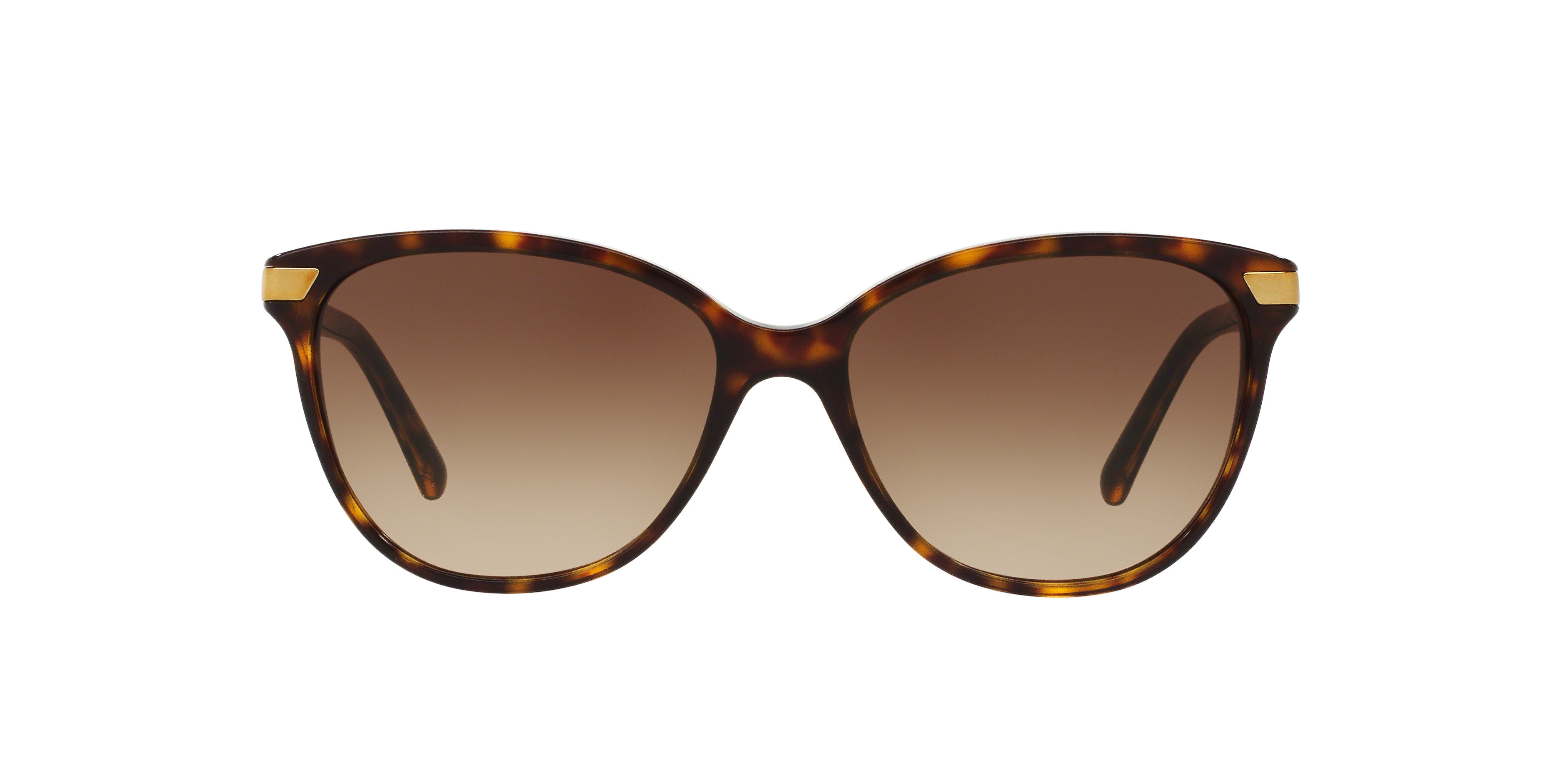 BURBERRY SUNGLASSES - BE4216 300213 57