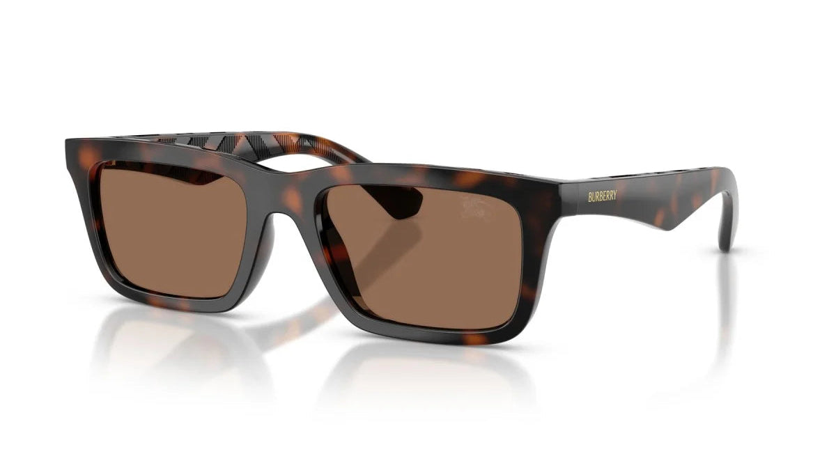 BURBERRY SUNGLASSES - BE4475U 300273 53