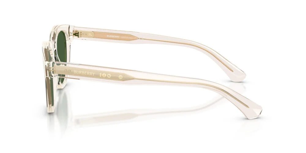 BURBERRY SUNGLASSES - BE4477 420971 48