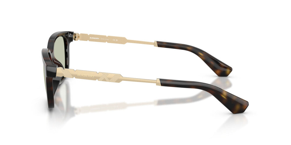 BURBERRY SUNGLASSES - BE4481D 3002/2 54