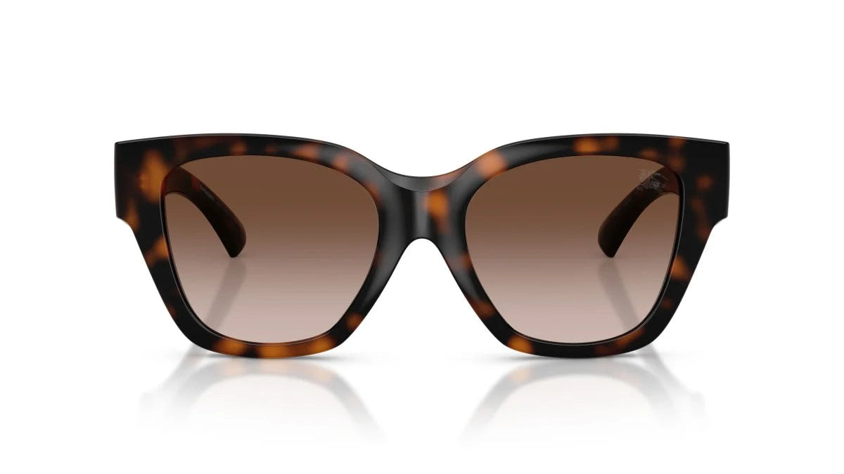 BURBERRY SUNGLASSES - BE4489U 300213 53