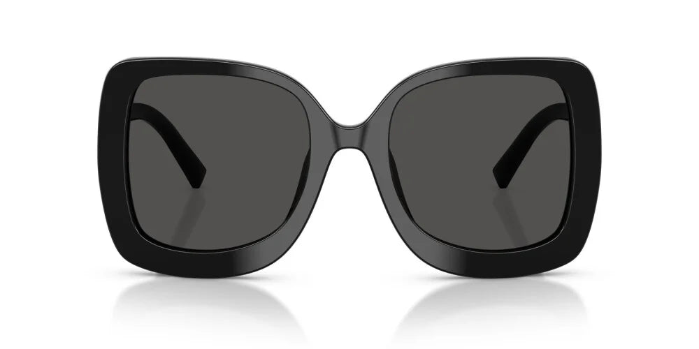 DOLCE & GABBANA SUNGLASSES - DG4513 501/87 55