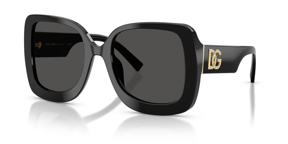 DOLCE & GABBANA SUNGLASSES - DG4513 501/87 55