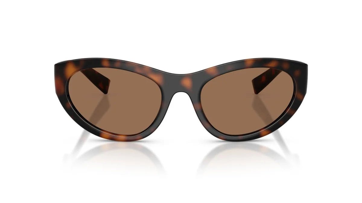 DOLCE & GABBANA SUNGLASSES - DG6207 502/73 54