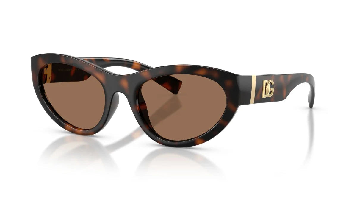 DOLCE & GABBANA SUNGLASSES - DG6207 502/73 54
