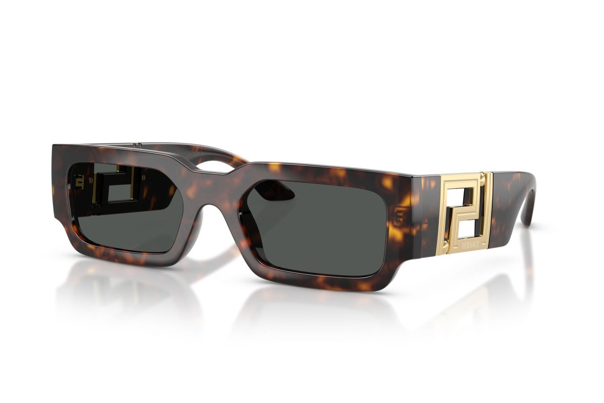 VERSACE SUNGLASSES - VE4506U 108/87 54