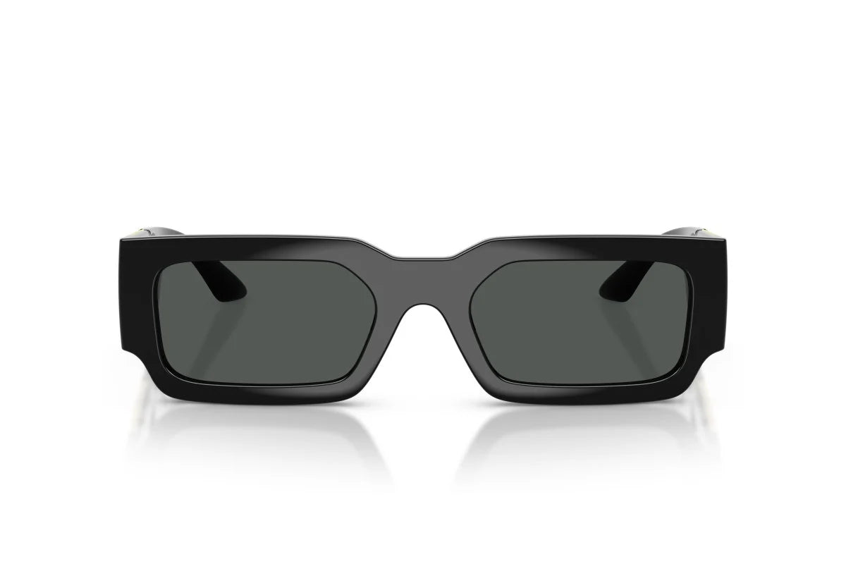 VERSACE SUNGLASSES - VE4506U GB1/87 54