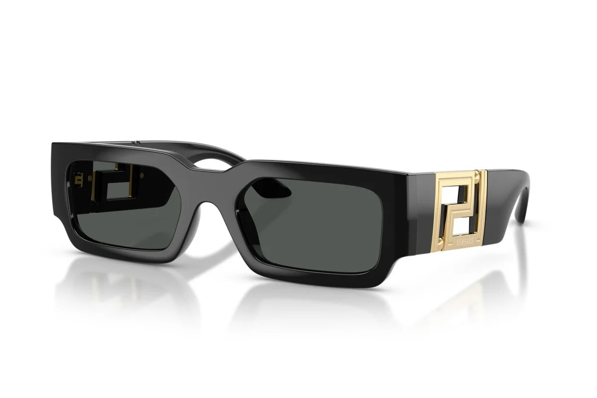 VERSACE SUNGLASSES - VE4506U GB1/87 54