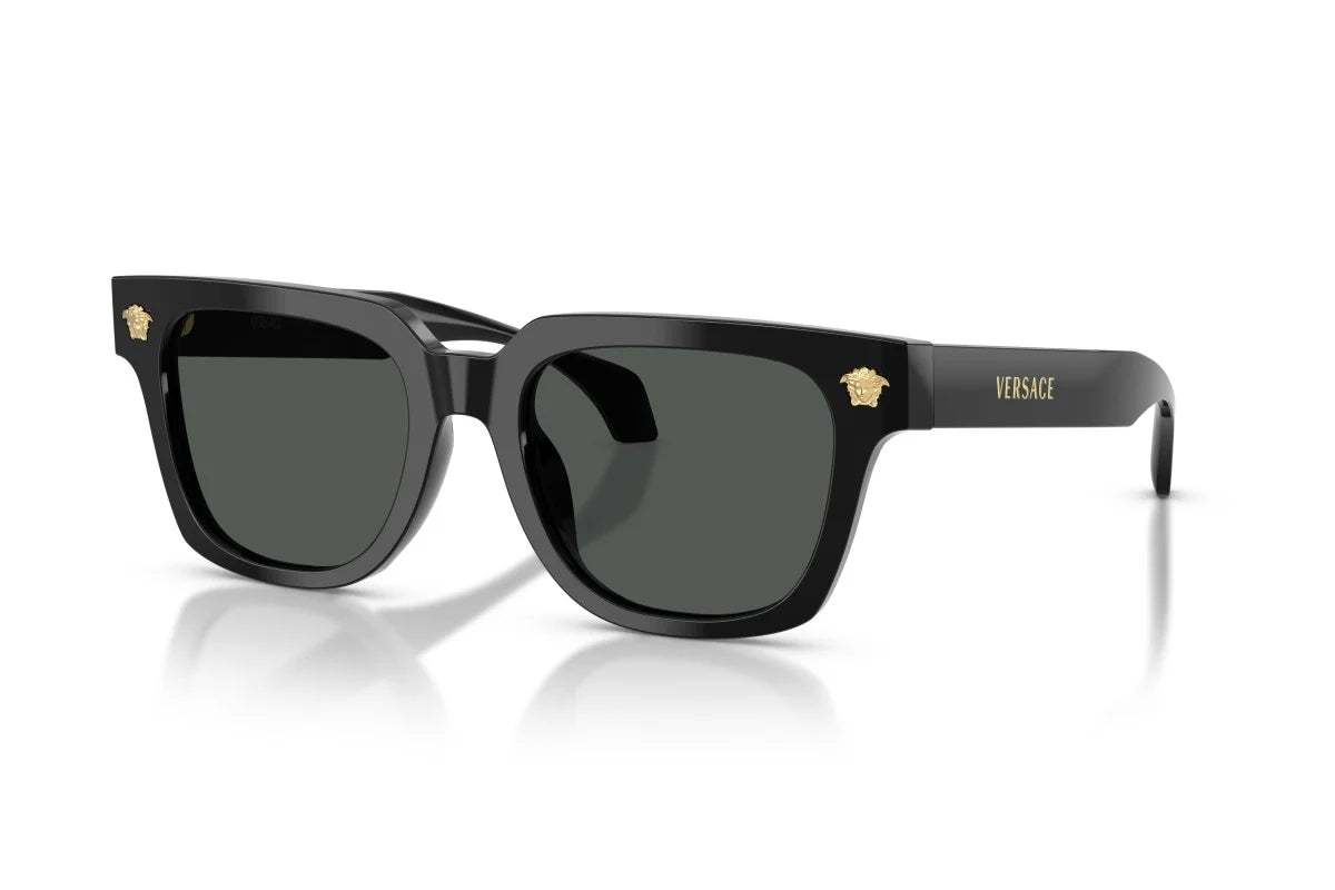 VERSACE SUNGLASSES - VE4510U 108/3 52