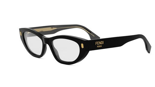 FENDI ROMA EYEGLASSES - FE50119I 001 53