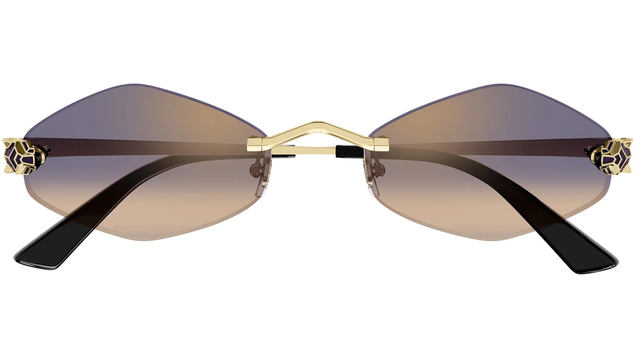 CARTIER SUNGLASSES - CT0433S 005 55