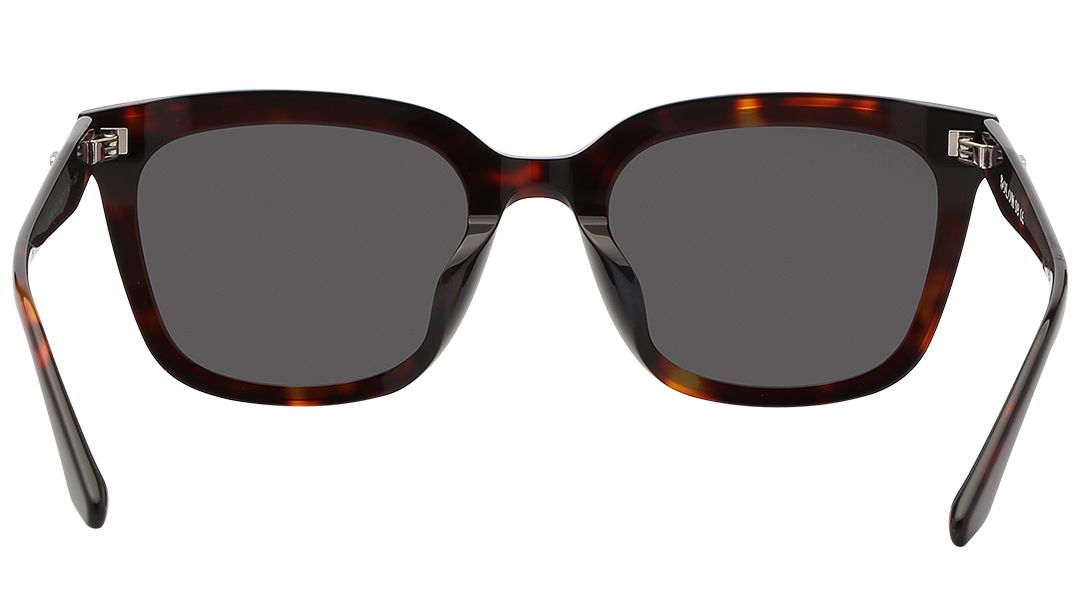BOLON SUNGLASSES - BL3199 C20 64