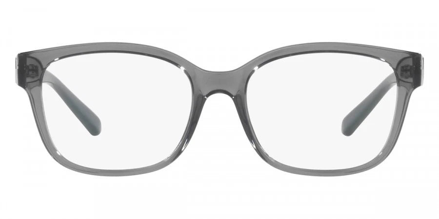 ARMANI EXCHANGE EYEGLASSES - AX3098 8242 53