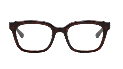 BOLON EYEGLASSES - BJ3168 B20