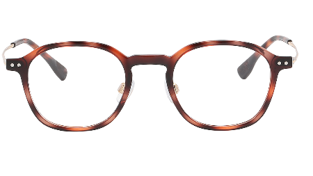 BOLON EYEGLASSES - BJ5112 B20 44