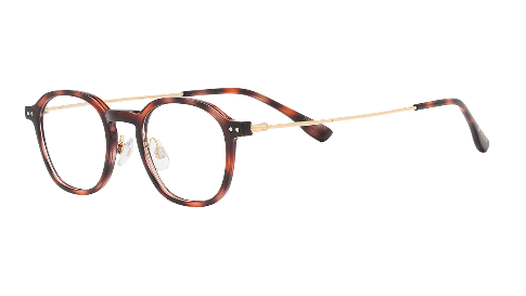 BOLON EYEGLASSES - BJ5112 B20 44