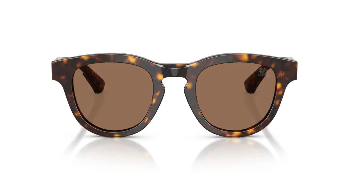 BURBERRY SUNGLASSES - BE4477 420573 48