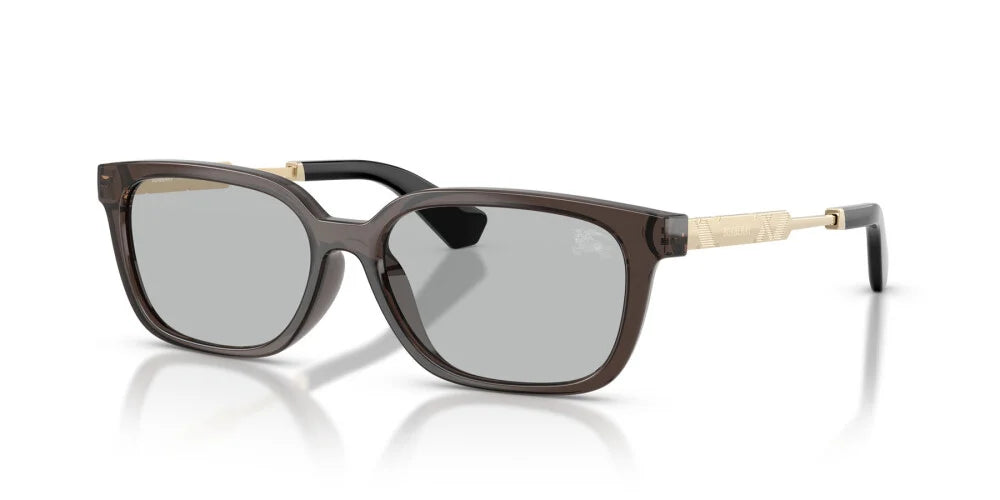BURBERRY SUNGLASSES - BE4481D 411287 54