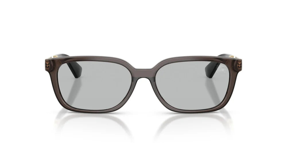 BURBERRY SUNGLASSES - BE4481D 411287 54