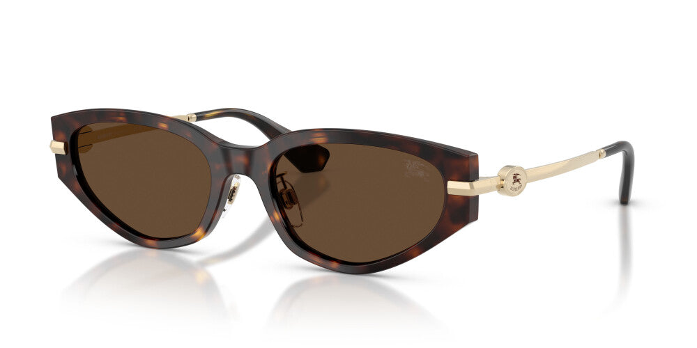BURBERRY SUNGLASSES - BE4493D 300273 56