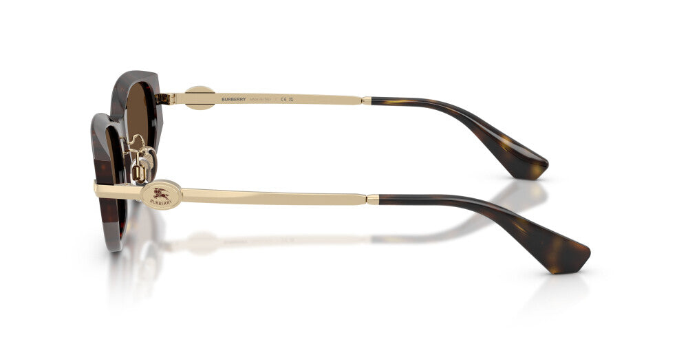 BURBERRY SUNGLASSES - BE4493D 300273 56