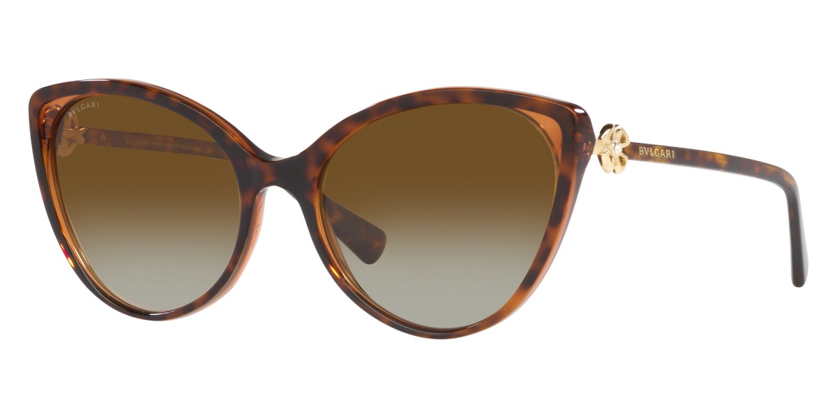 Bvlgari™ BV8246B 5496T5 57 - Havana on Transparent Brown