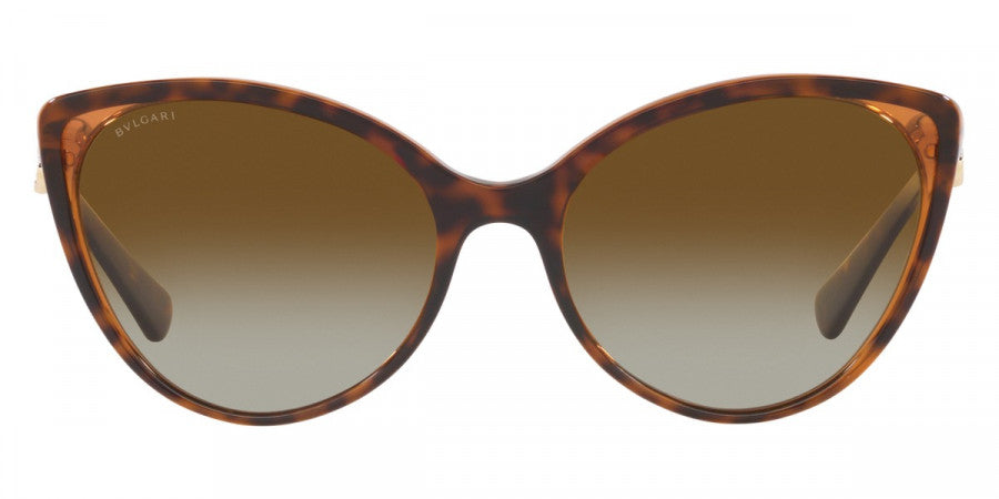 BVLGARI SUNGLASSES - BV8246B 5496T5 57 - Havana on Transparent Brown
