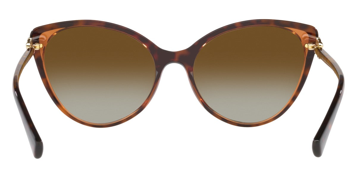 BVLGARI SUNGLASSES - BV8246B 5496T5 57 - Havana on Transparent Brown
